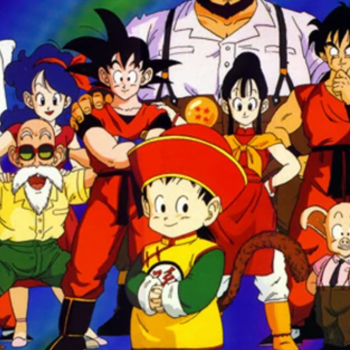 Dragon Ball Z Heroes And Villains Shorts and Swim Shorts