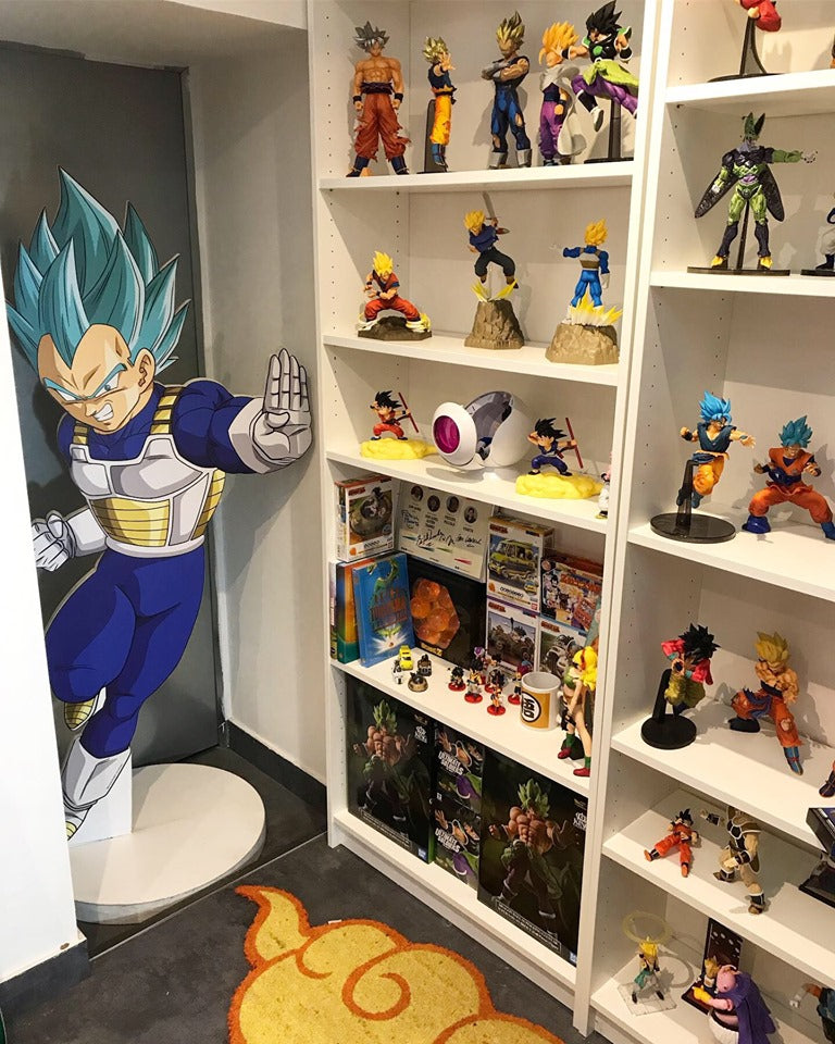 How to choose your Dragon Ball Z Figure ?