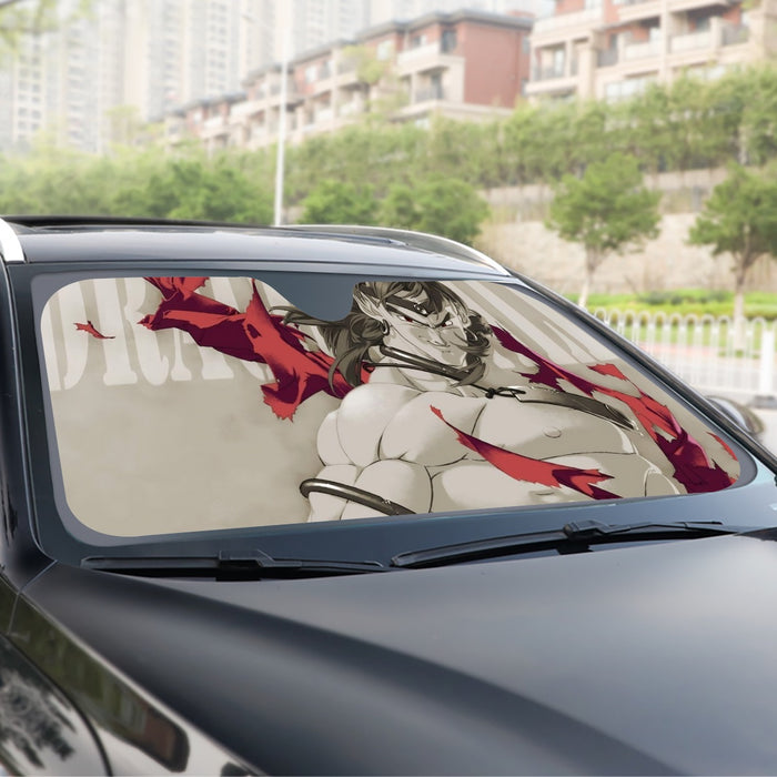 Dragon Ball Legendary Super Saiyan Broly Dope Gray Windshield Sunshade